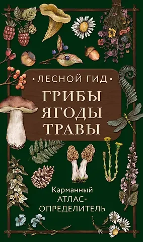 Людмила Семеновна Семенова Лесной гид: грибы, ягоды, травы. Карманный атлас-определитель