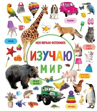Валентина Геннадьевна Дмитриева Изучаю мир. Моя первая фотокнига