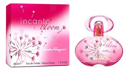 Incanto Bloom new edition: туалетная вода 50мл daisy bloom туалетная 50мл уценка
