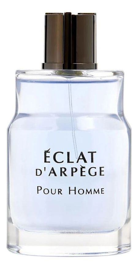 Eclat d'Arpege Pour Homme: туалетная вода 100мл уценка fahrenheit туалетная 100мл уценка