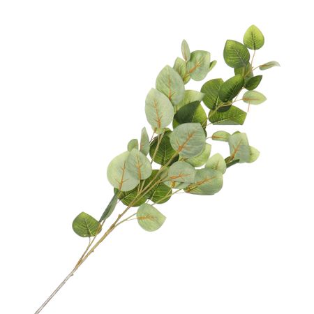 Ветка эвкалипта Конэко-о зеленая, длина 100 см