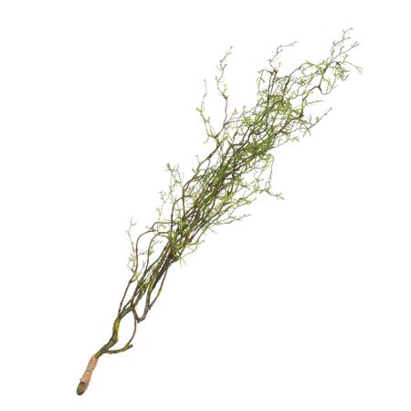 Побеги бамбука ампельные 80 см Конэко-о