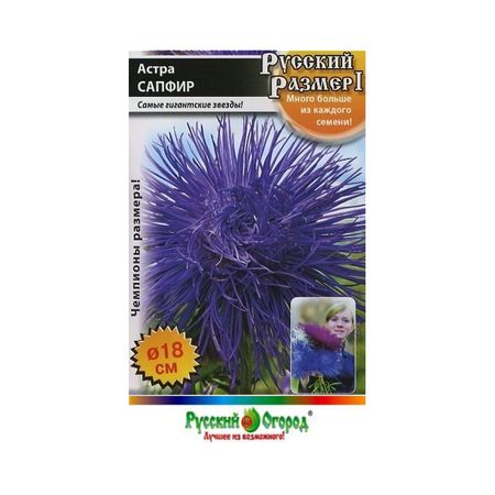 Цветы астра Русский огород Русский размер I сапфир