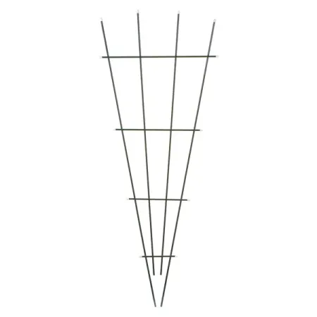 Шпалера веерная