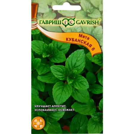 Семена Мята перечная Кубанская