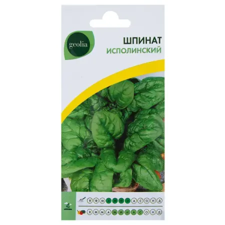 Семена Шпинат Geolia Исполинский очень большая раскраска царевны время чудес