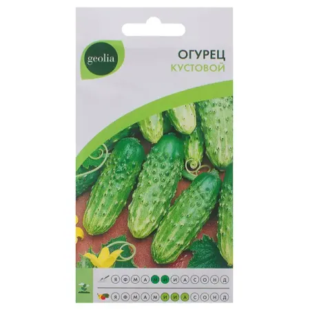 Семена Огурец Geolia Кустовой