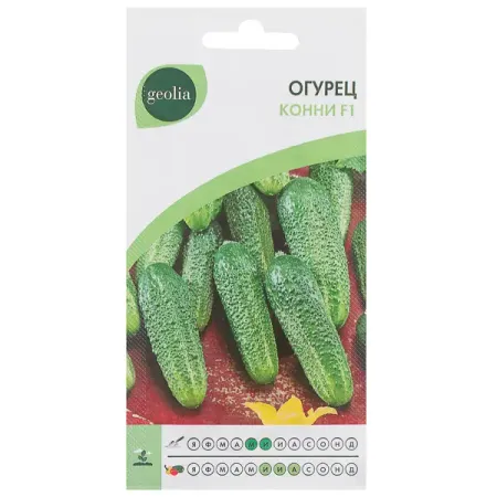 Семена Огурец Geolia Конни