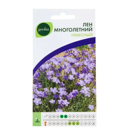Лён многолетний Geolia Небесный ирина викторовна денисова небесный свод играет фугу
