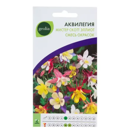 Аквилегия Geolia Мистер Скотт Эллиот френсис скотт фицджеральд the curious case of benjamin button