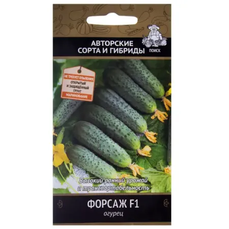 Семена Огурец «Форсаж» F1 пластиковые воронки для консервирования