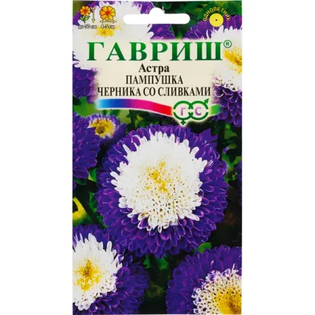 Астра «Пампушка Черника со сливками», 0.3 г умберто эко остров накануне