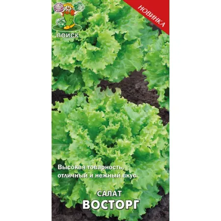 Семена Салат «Восторг» (А), 1 г шейнцберг александр восторг от химии как понять эту удивительную науку