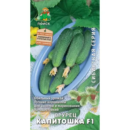 Семена Огурец Сибирская серия «Капитошка» F1, 1 г грудной сбор n2 2 г 20 шт