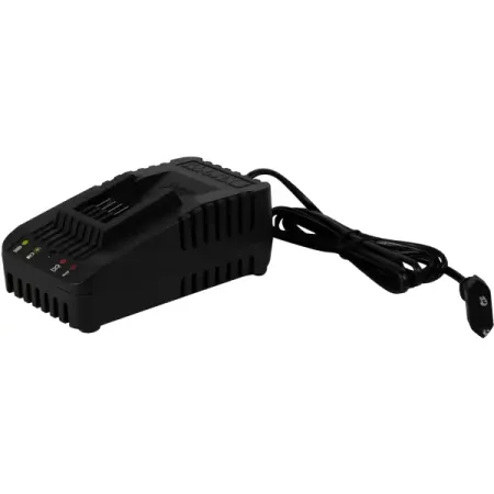 Зарядное устройство Worx WA3880 20 В MAX копия монеты вильгельма ii 20 марок 1912 года