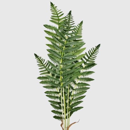 Папоротник Конэко-О искусственный высота 85 см, ширина 65 см е в ширина евгений валерьевич ахмадулин печать столицы донского казачества новочеркасск 1839 – 1930 гг