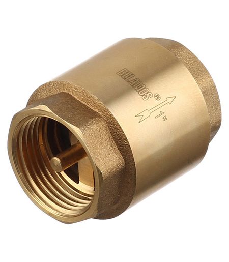 Клапан обратный 1 ВР(г) х 1 ВР(г) (FVC1)