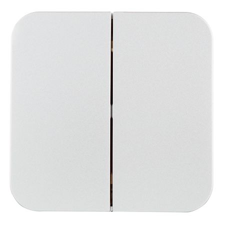 Выключатель Systeme Electric Blanca двухклавишный накладной алюминий (BLNVA105013)