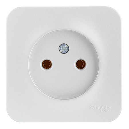 Розетка Systeme Electric Blanca накладная алюминий (BLNRA000113)