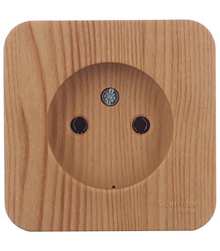 Розетка Systeme Electric Blanca накладная ясень (BLNRA000115)