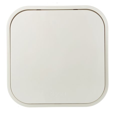 Переключатель Legrand Quteo одноклавишный накладной слоновая кость (782234)