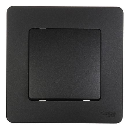 Переключатель Systeme Electric Blanca встраиваемый антрацит (BLNVS010606) елена алексеевна титаренко литература в схемах и таблицах