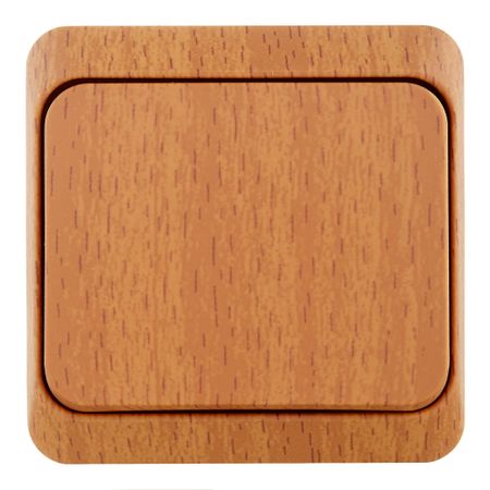 Переключатель Systeme Electric Этюд одноклавишный накладной бук (BA10-004T)