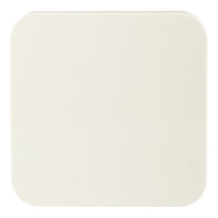 Выключатель Systeme Electric Blanca одноклавишный накладной бежевый с самовозвратом (BLNCA101017)