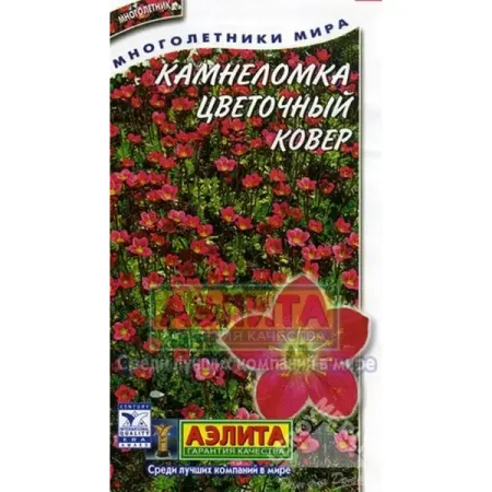 Камнеломка «Цветочный ковёр» ковёр faviora для гостиной