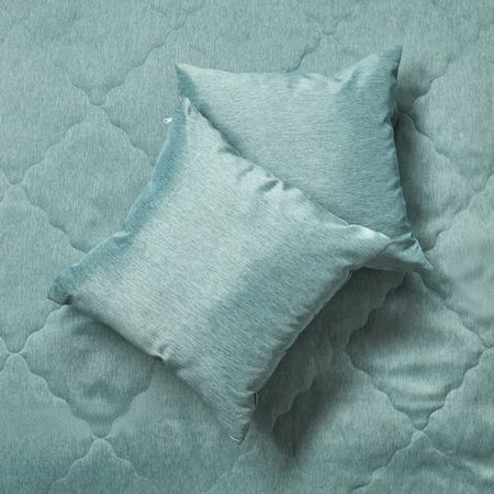 Подушка декоративная Блестящий/Brillante кизильник блестящий ø17 h30 см