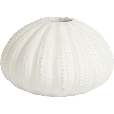 Подсвечник Glasar Ракушка 11х11х7 см подсвечник edg олень белый 15x13x9 см