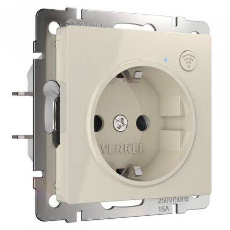 Умная розетка Werkel Minimir Home (W1171603) скрытая установка слоновая кость с заземлением освальд шпенглер закат западного мира комплект в 2 х томах