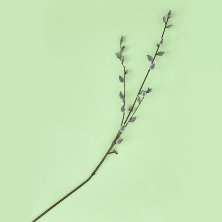 Декоративное украшение Willow украшение елочное шишки 10 шт