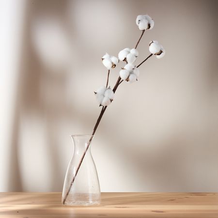 Декоративное украшение Хлопок/Cotton I украшение елочное шишки 10 шт