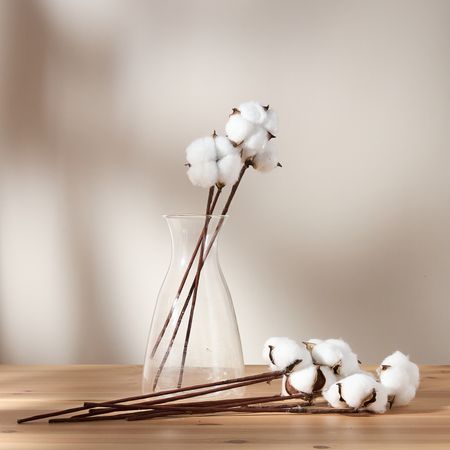 Декоративное украшение Хлопок/Cotton II украшение елочное шишки 10 шт