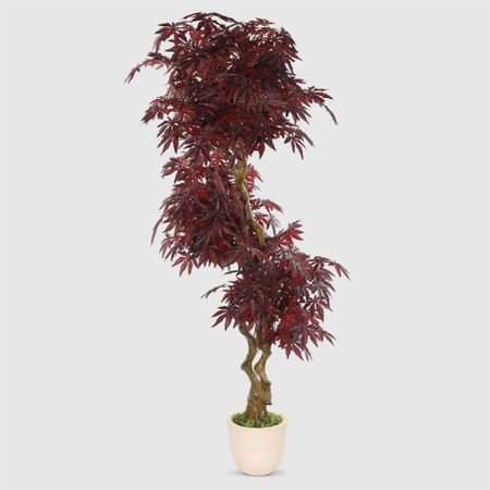 Фикус бенджамина искусственный Конэко-О красный