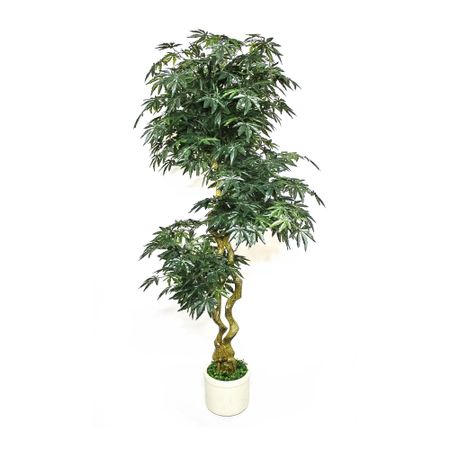 Клен искусственный Конэко-О зеленый