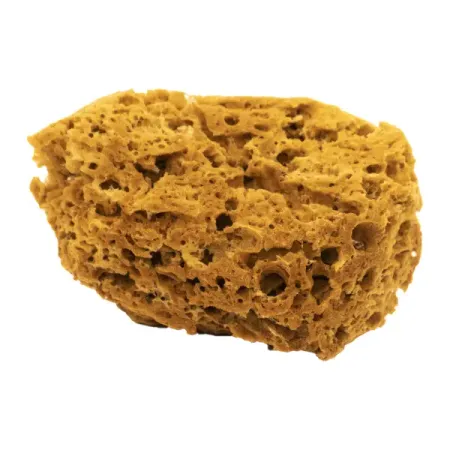 Губка натуральная Pentrilo для декоративных эффектов губки целлюлозные homex очень милые 2 шт