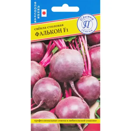 Семена Свекла столовая «Фалькон» F1