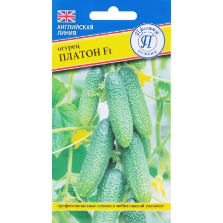 Семена Огурец Платон F1 Престиж семена огурчики лукашинские по европейски бутербродные 670 г