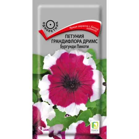 Семена Петуния Грандифлора Дримс «Бургунди Пикоти»