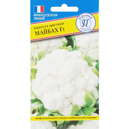 Семена Капуста цветная «Майбах» F1 семена seminis капуста б к аммон f1