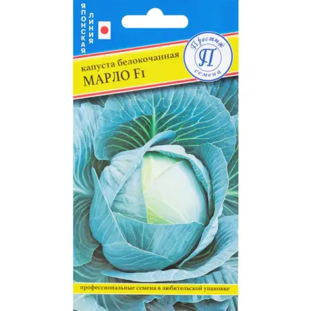 Семена Капуста белокочанная «Марло» F1 семена seminis капуста б к аммон f1