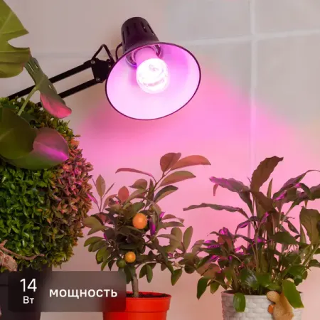 Фитолампа светодиодная для растений Эра 14 Вт E27 груша красно-синий спектр розовый свет marshydro sp3000 светодиодная фитолампа