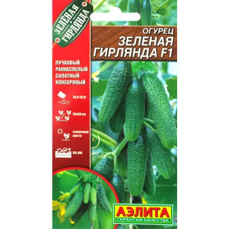 Семена Огурец Зелёная гирлянда F1 Аэлита зелёная лампочка зелёная лампочка раскрась любовь