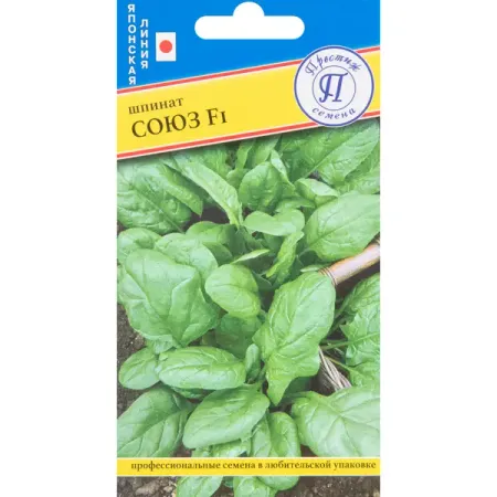 Шпинат Союз F1 1 гр