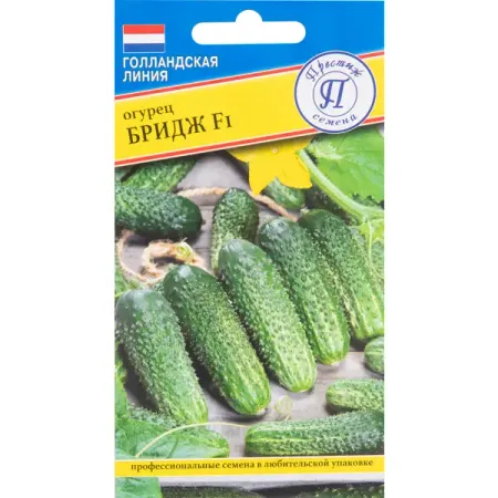 Огурец Бридж F1 5 шт. растения от всех болезней иллюстрированный атлас