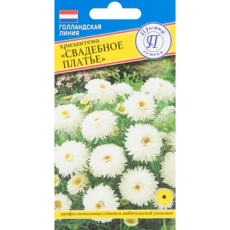 Хризантема Свадебное платье, 10 шт. тома эстэм в платье из лиоцелла сборник стихотворений