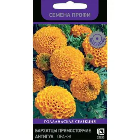 Бархатцы прямостоячие Антигуа Оранж 15 шт.