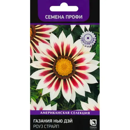 Газания Нью Дэй Роуз Страйп 10 шт.